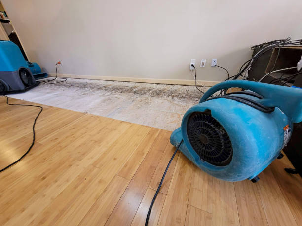 Professional Ceiling Water Damage Repair technician working in Laurel, IN